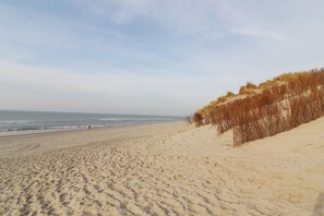 A beach with sand and dunes, a person walking, and the ocean in the background. - Inviting Hollum Chalet Near Golf Course (Hollum)