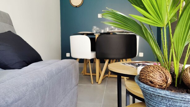 A modern living room with a grey sofa, a small round table with magazines, and a large green plant in a blue pot. - L'Atelier des rêves, air-conditioned, Dijon center (Dijon)