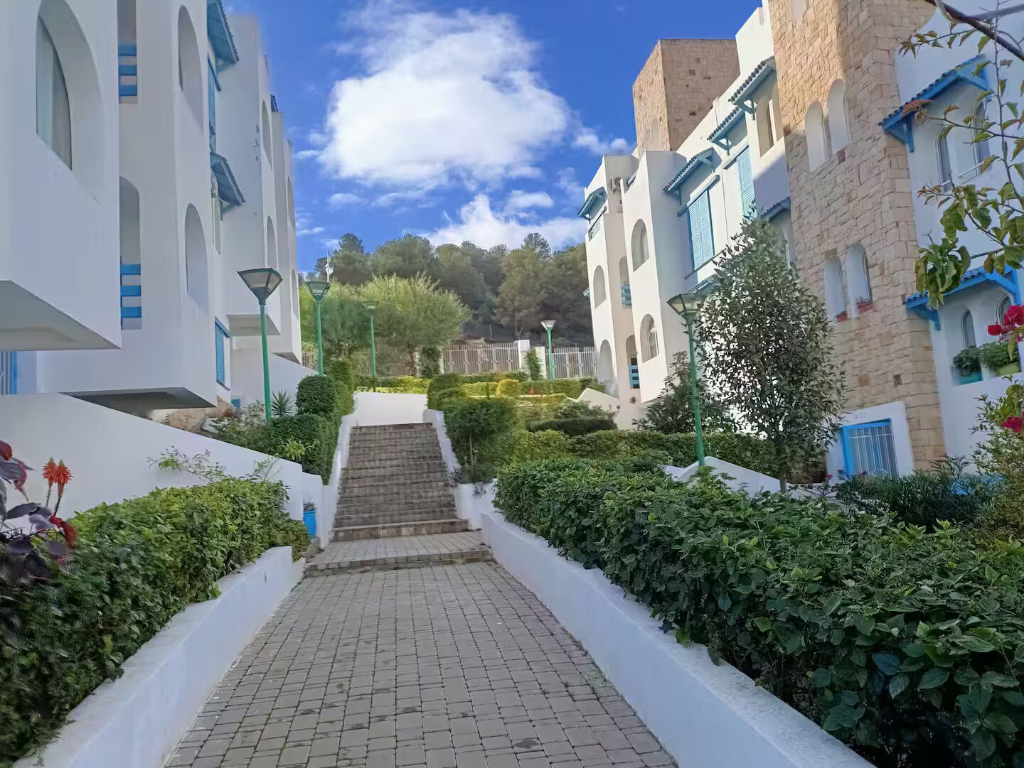 Un sendero lleva a un edificio con fachadas blancas y azules, rodeado de vegetación y un cielo despejado.