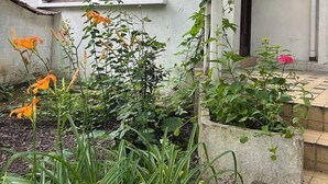 Un bâtiment blanc doté de deux fenêtres, d’une porte et d’un petit jardin agrémenté de diverses plantes et fleurs.