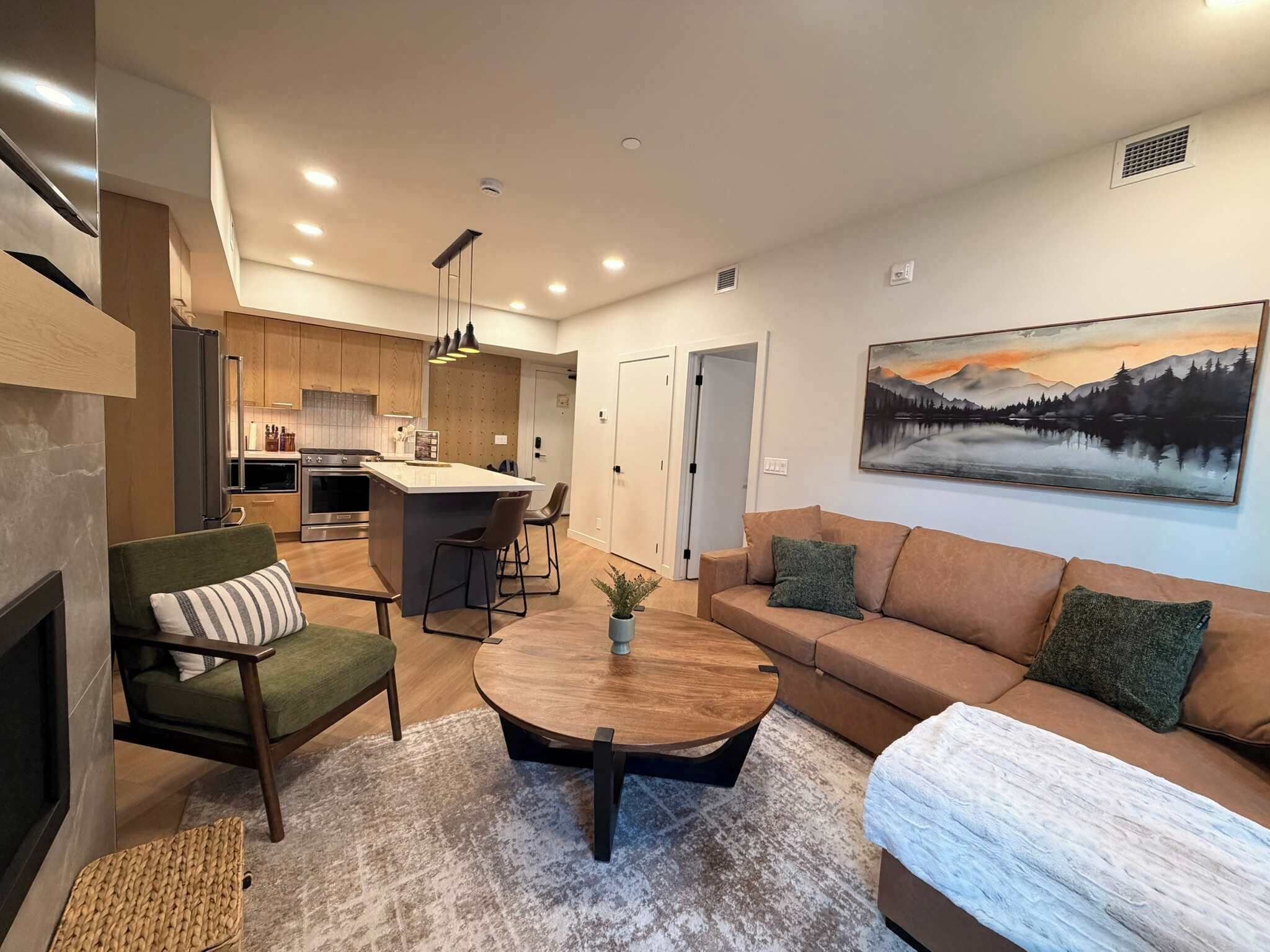 Télévision, cheminée, espaces bureaux