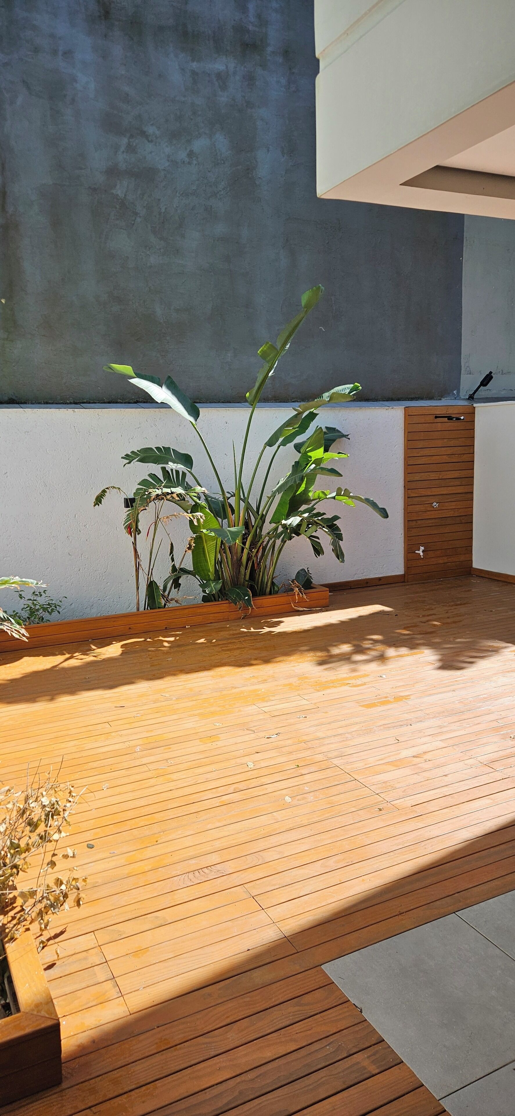 Parco della struttura