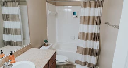 Steps from UVA, Downtown Mall, Spacious Apartment
