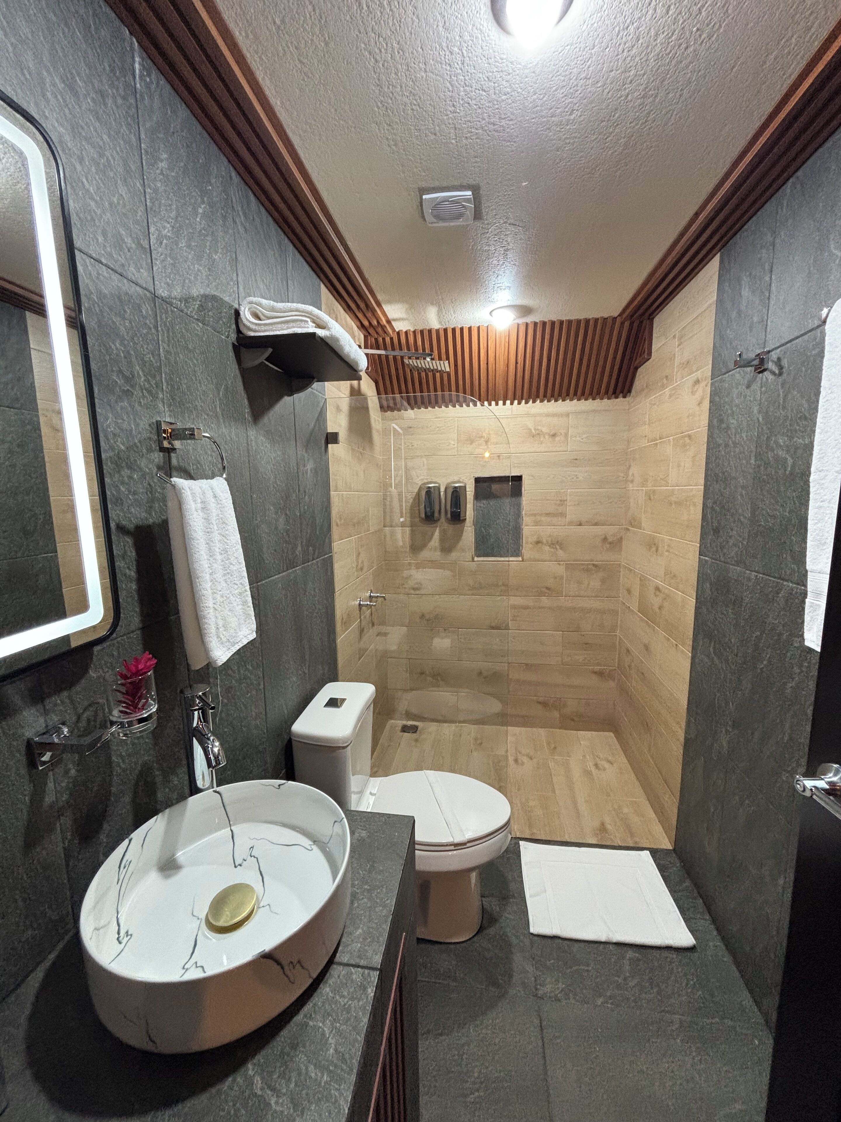 Hair dryer, towels, soap, toilet paper
