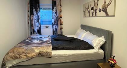 Späth Business Apartment Möbliertes 2-Zimmer-Souterrain in Schwanstetten