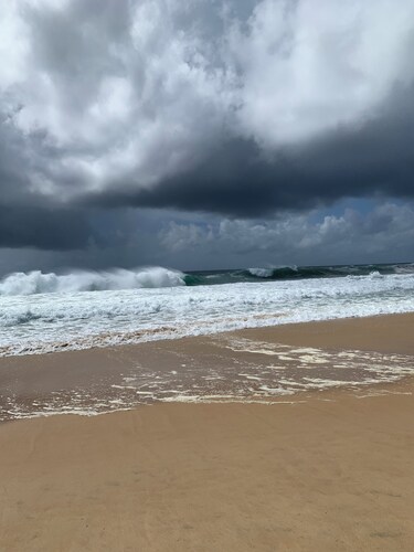 Cottage by the Sea! 400M to the Beach, Lupo’s Pizza & Restaurant Bella Bronte.