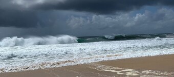 Cottage by the Sea! 400M to the Beach, Lupo’s Pizza & Restaurant Bella Bronte.