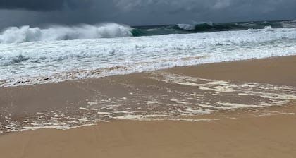 Cottage by the Sea! 400M to the Beach, Lupoâs Pizza & Restaurant Bella Bronte.