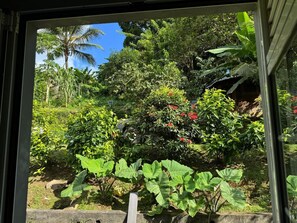 Interior - jacuzzi-apartment- spacious- 6 persons -air-conditioned -not overlooked MQ (Gros-Morne)