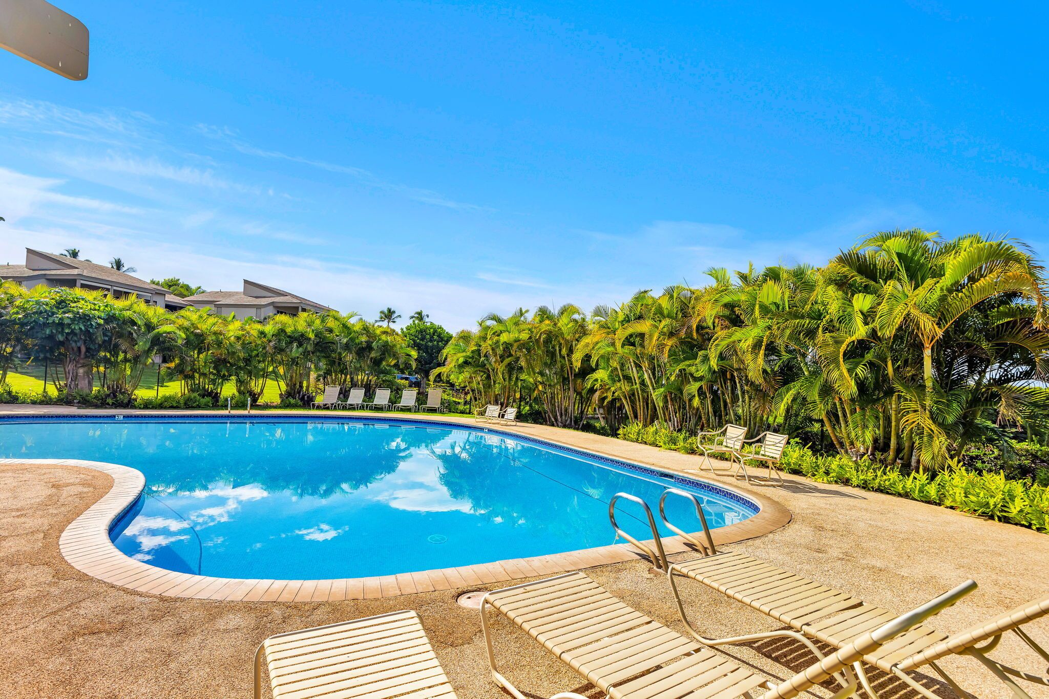 Luxury Apartment, Air conditioning, Ocean View | Pool