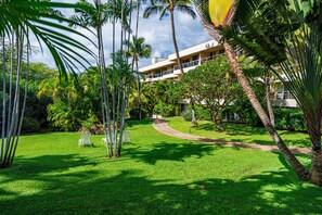 A lush garden with palm trees, a pathway, and a building with balconies. - Kihei Beachside Resort Vistas (Kihei)