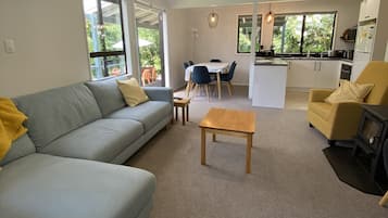 TV, fireplace, books