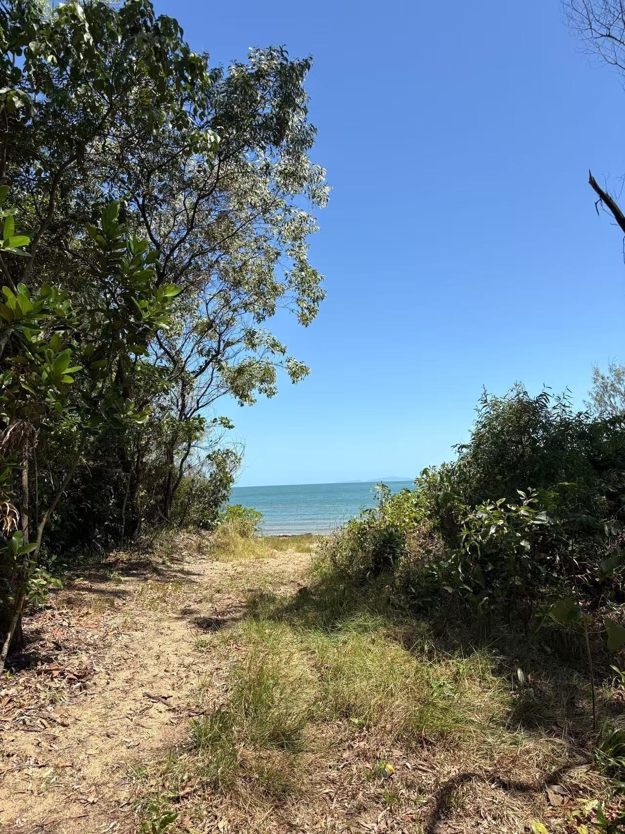 Un sentier de terre mène à une plage, bordée d’une végétation luxuriante d’un côté, et un ciel bleu dégagé s’étend au-dessus.