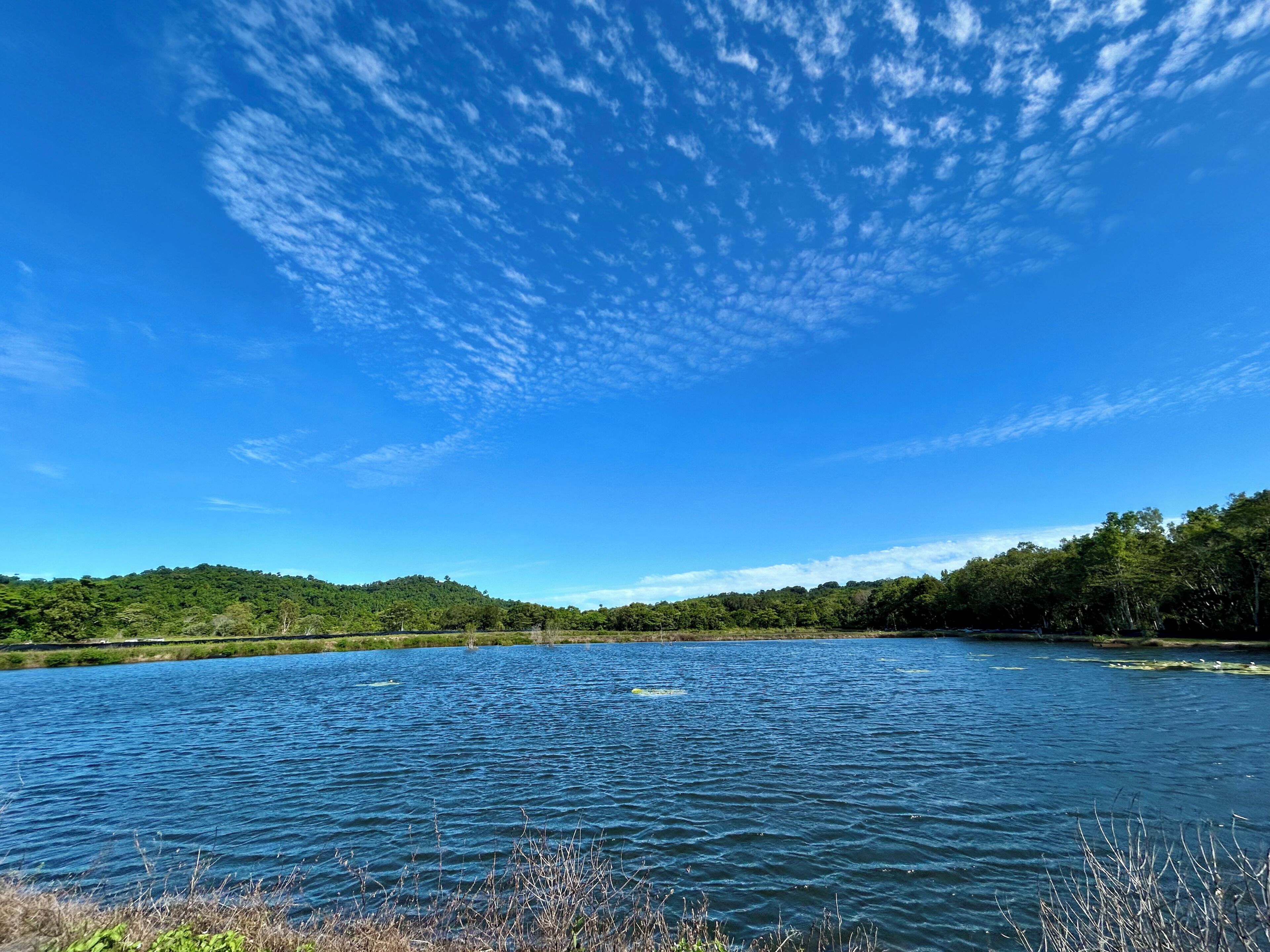 A lake with a clear sky and distant hills.