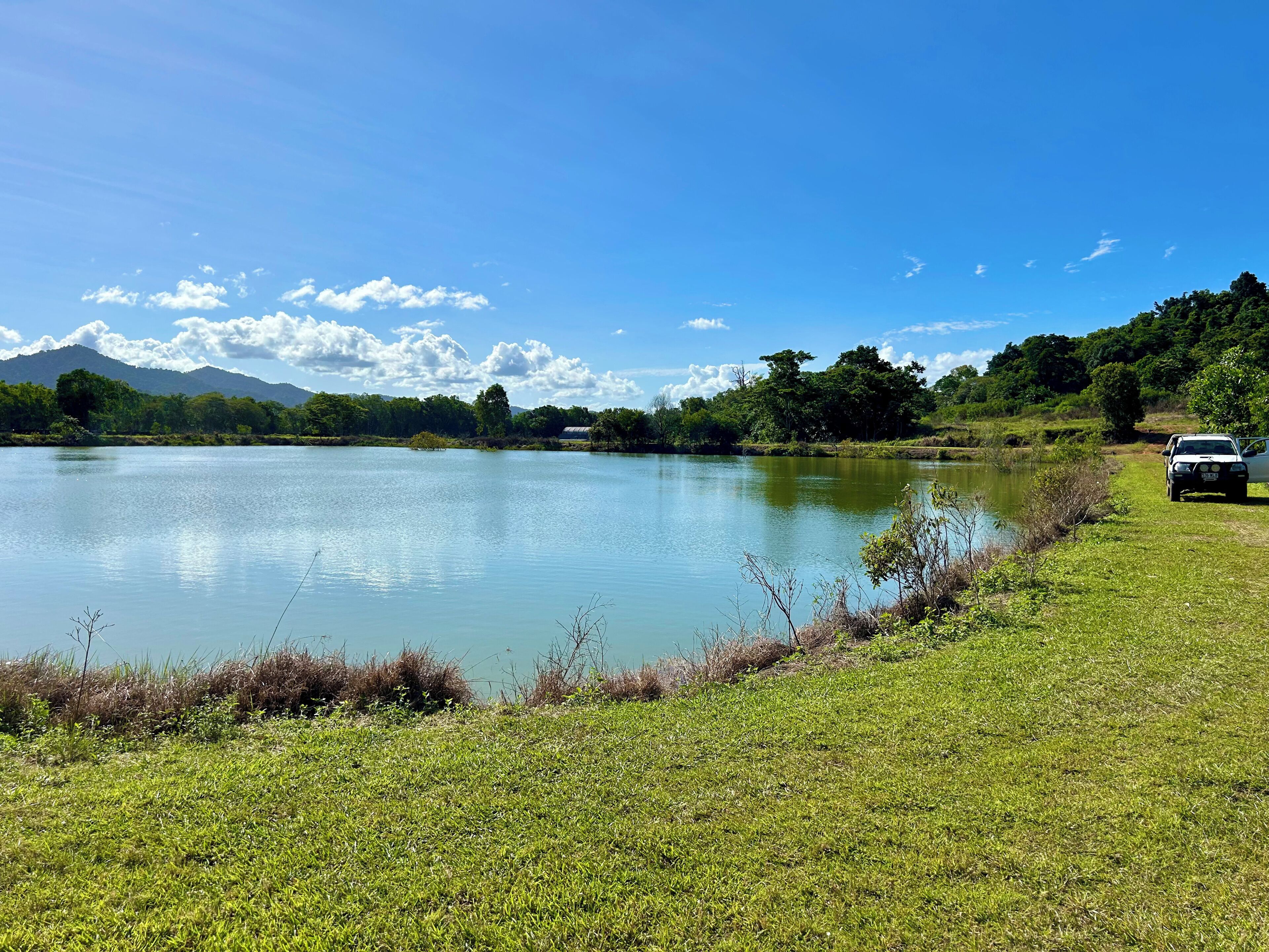 Un lago con una orilla cubierta de hierba y un vehículo estacionado a la derecha.