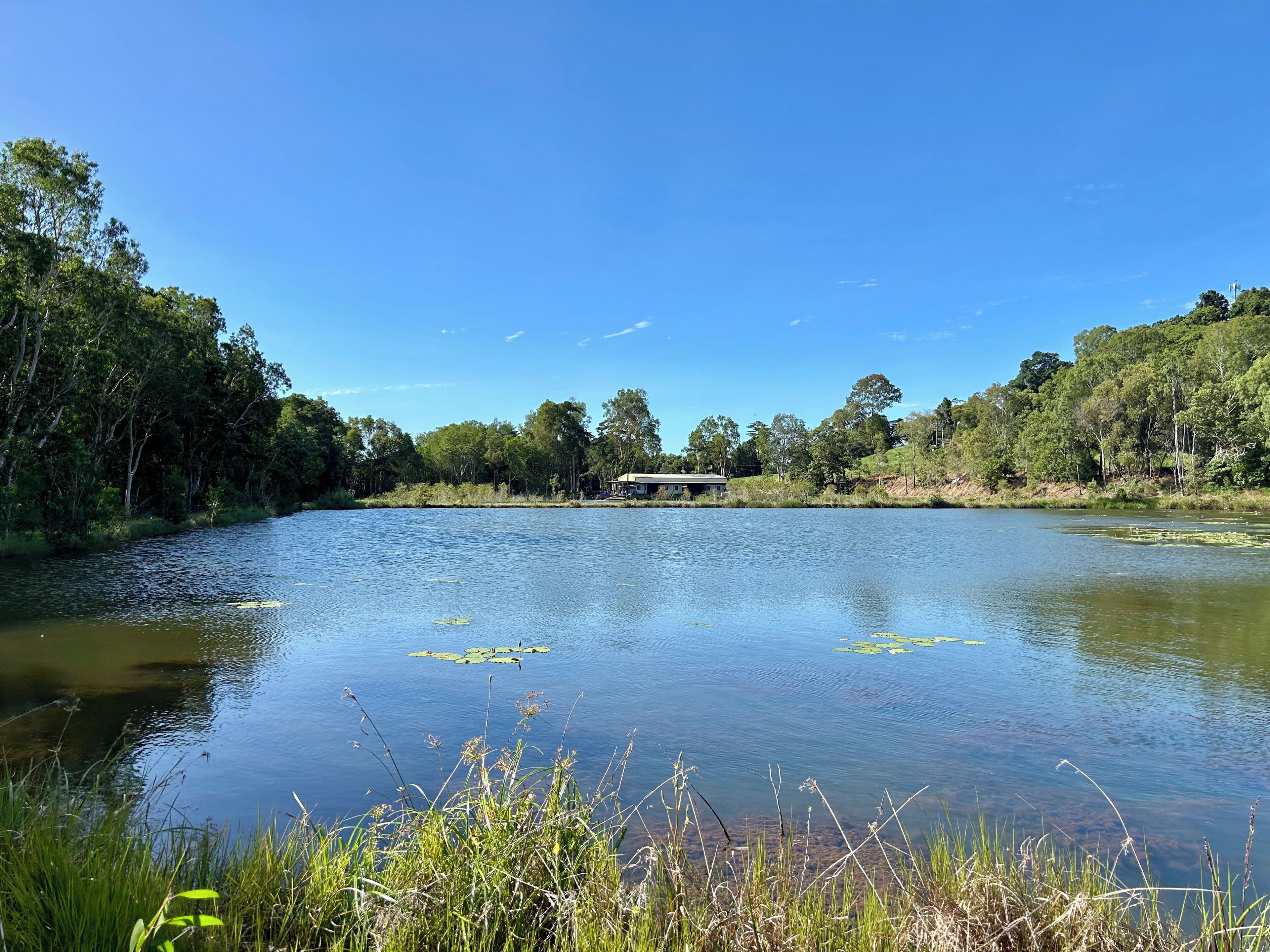 Un lago tranquilo con una casa en la otra orilla, rodeado de árboles frondosos.