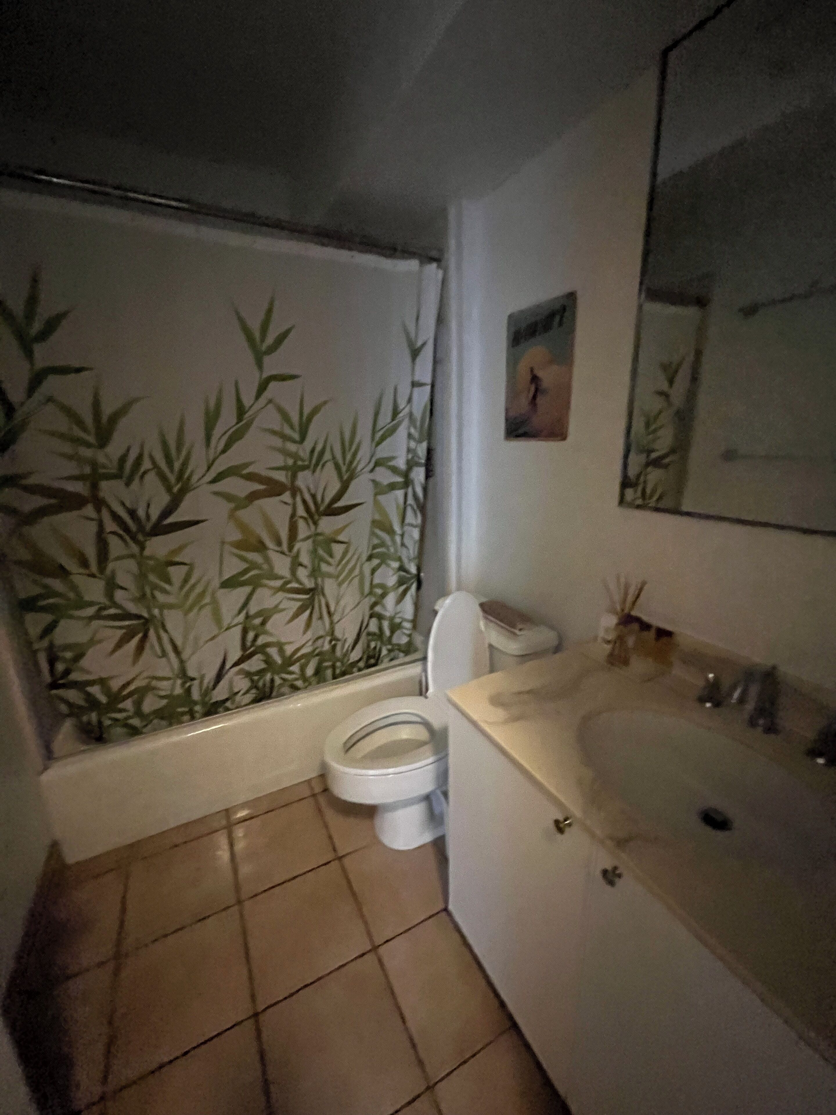 Haartrockner, Handtücher, Seife, Toilettenpapier