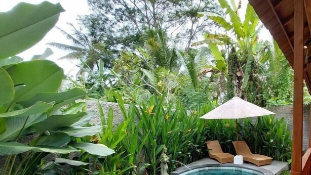 Une piscine rectangulaire à l’eau d’un bleu limpide, entourée d’une végétation luxuriante et dotée d’une terrasse en bois.