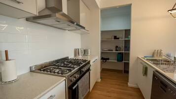 A modern kitchen with a gas stove, stainless steel appliances, and a built-in oven. There is a pantry with shelves and a dish rack.