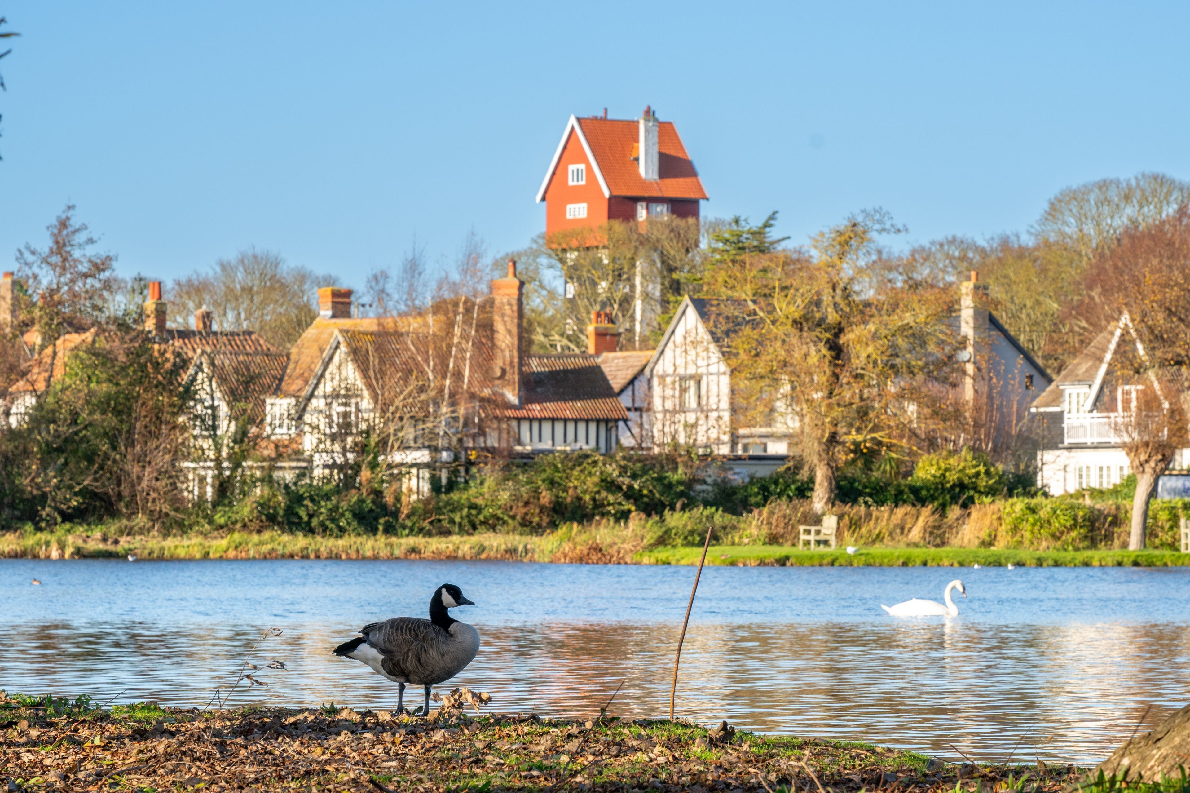 A calm lake with a swan and a goose, surrounded by traditional houses with red roofs and white walls.