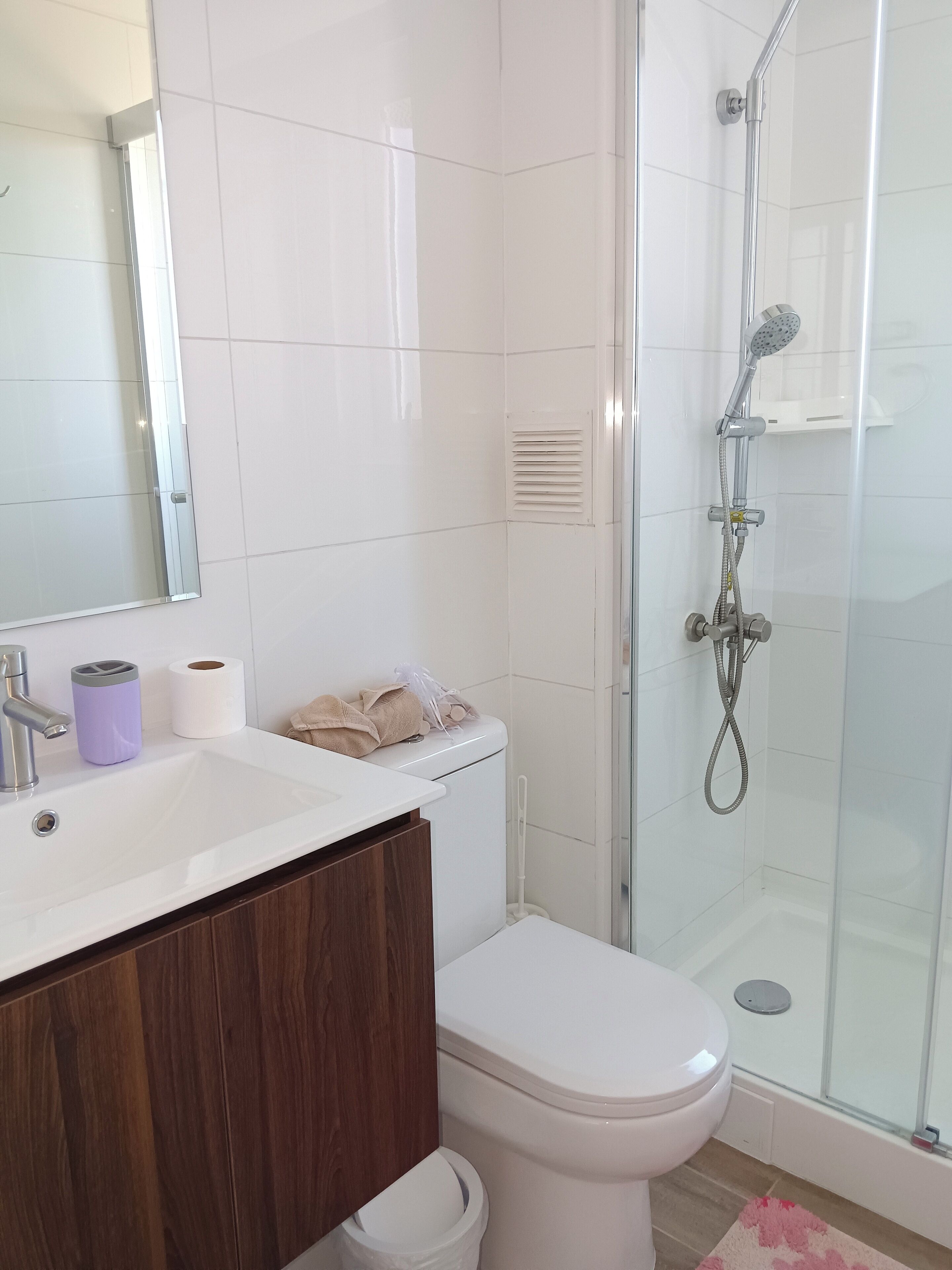 Hair dryer, towels, toilet paper