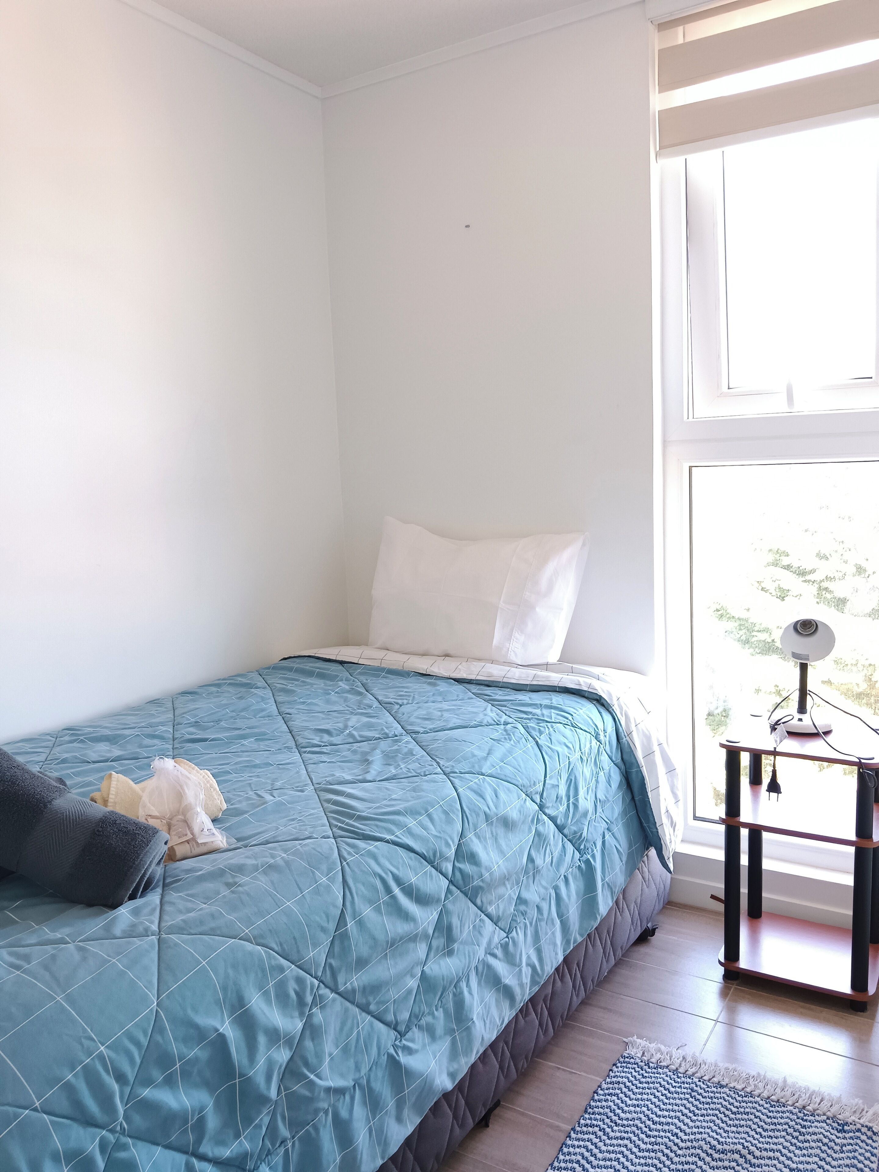 Iron/ironing board, internet, bed sheets