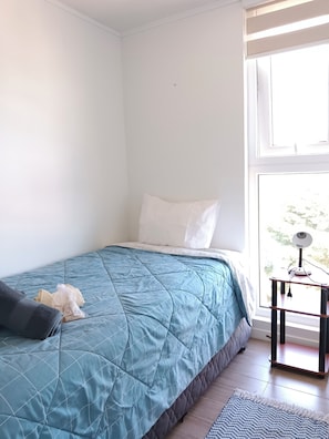 Iron/ironing board, Internet, bed sheets