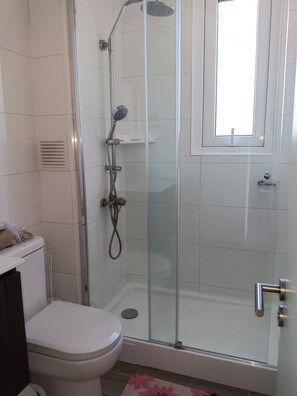Hair dryer, towels, toilet paper