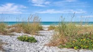 A sandy beach path leading to the ocean with tall grasses and yellow flowers. - Pass A Grille (St. Pete Beach)
