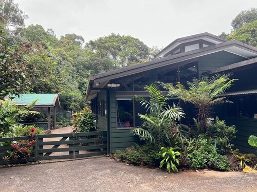 RIFLEBIRD LODGE - Exclusive rainforest retreat for wildlife enthusiasts
