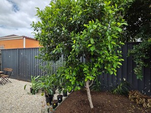 Property grounds - A Sporting Spot in Warm Sunshine (Sunshine North)