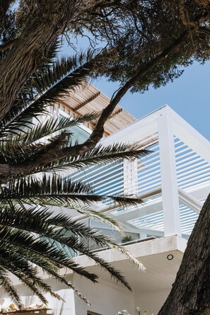 Detalle exterior