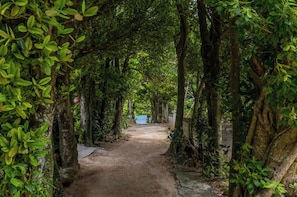 Property grounds - Entire building available for rent BBQ available / Kunigami County Okinawa (Kunigami County)