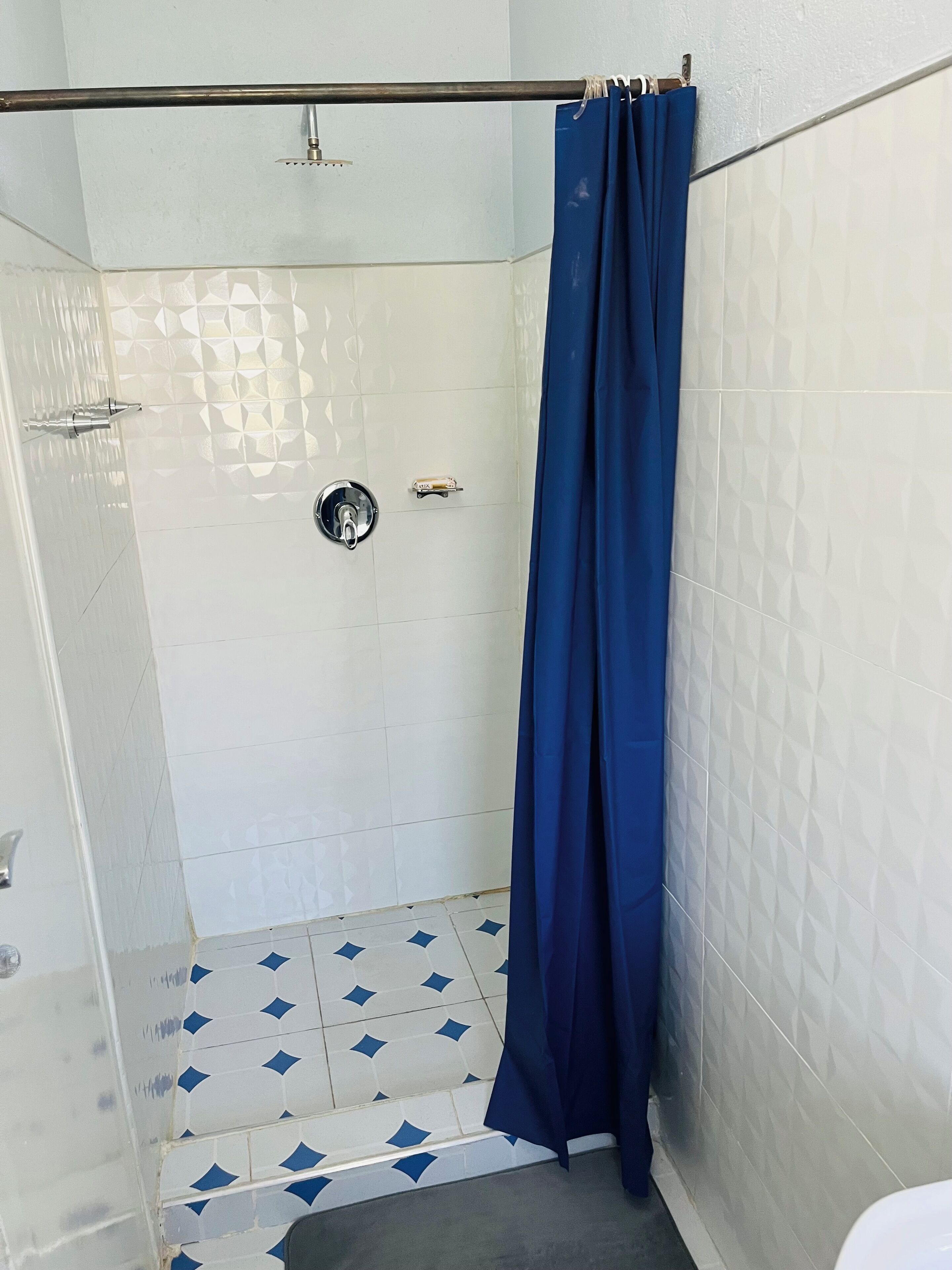シャワー、タオル、石鹸、トイレットペーパー