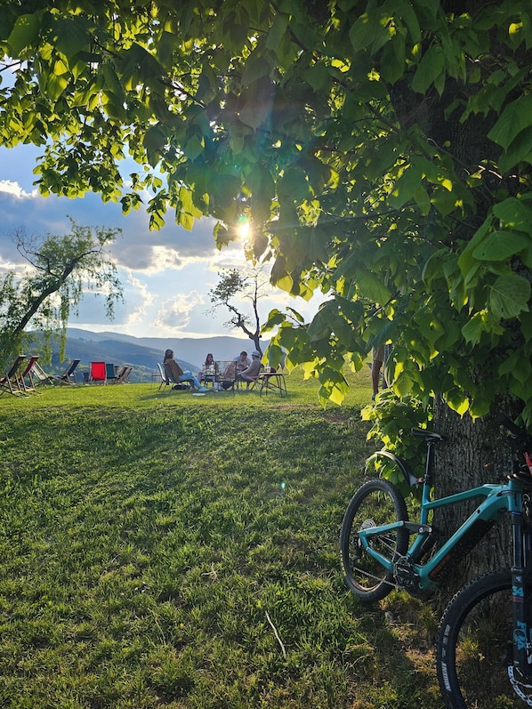 Fietsen