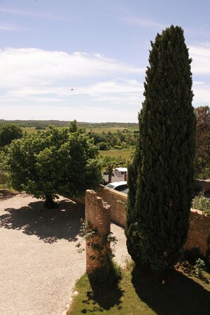 المنطقة المحيطة بالمنشأة