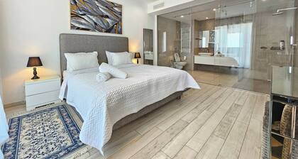 Elegant and Modern Villa V 04