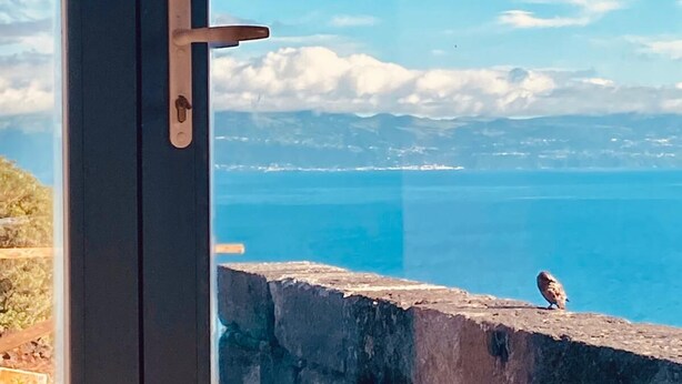 A view through a glass door with a metal handle, leading to a balcony overlooking a body of water and distant mountains. - Modern and cozy house in Ribeirinha, Pico Island (Ribeirinha)