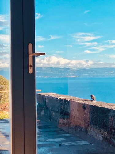 Modern and cozy house in Ribeirinha, Pico Island