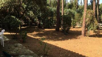 Khuôn viên nơi lưu trú