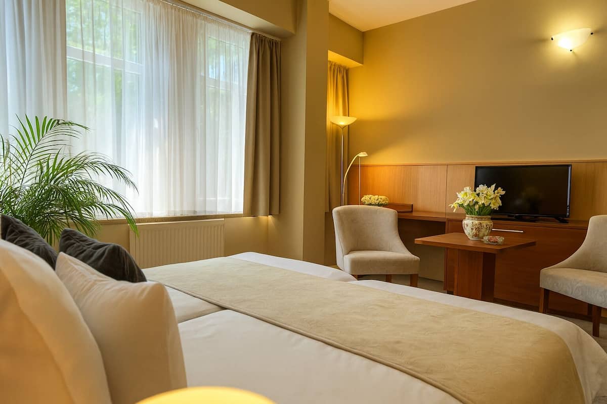A hotel room with a large bed, two armchairs, a desk with a television, and a potted plant.