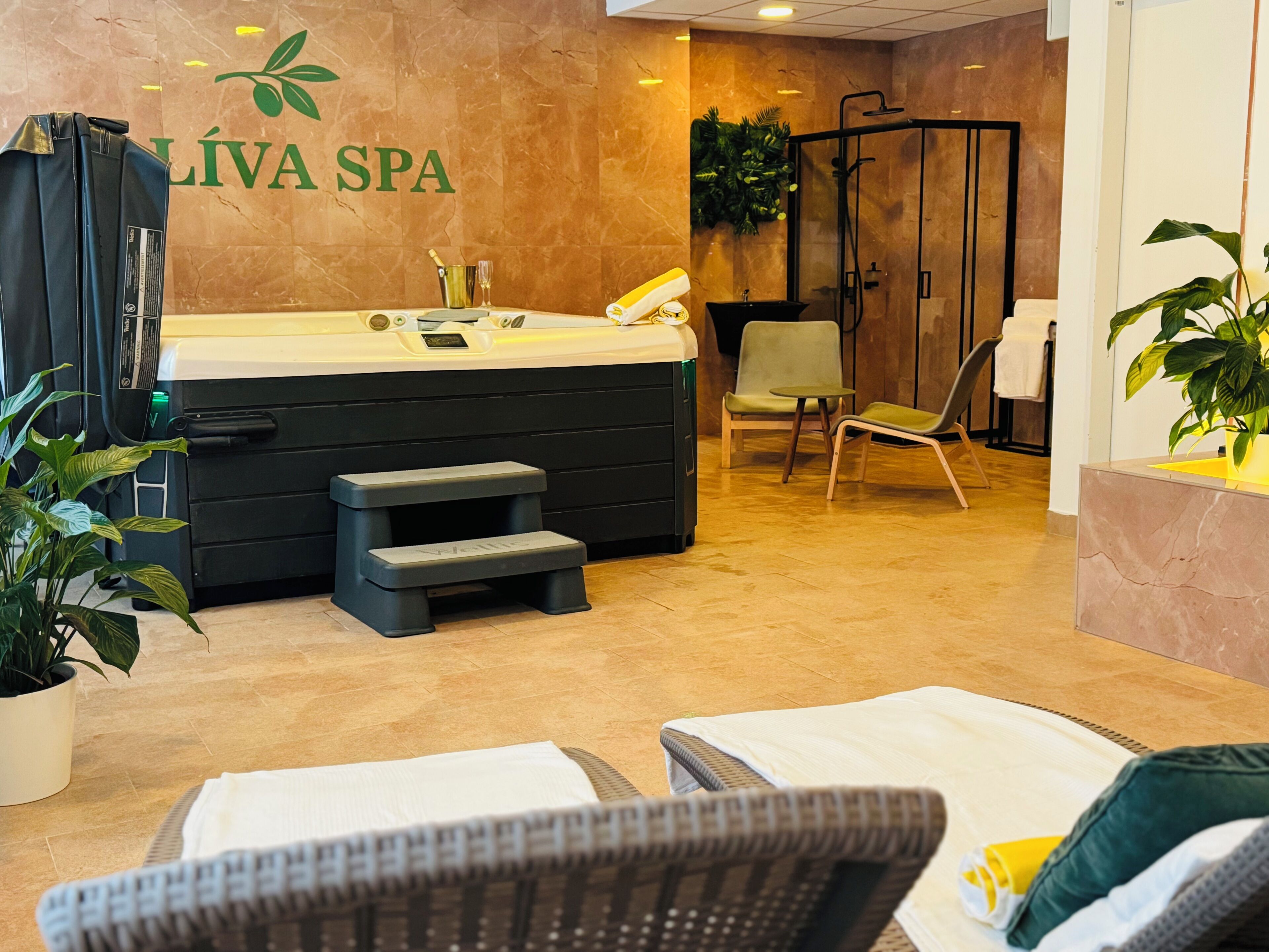 Sauna, hot tub, Swedish massages, sports massages, 1 treatment room