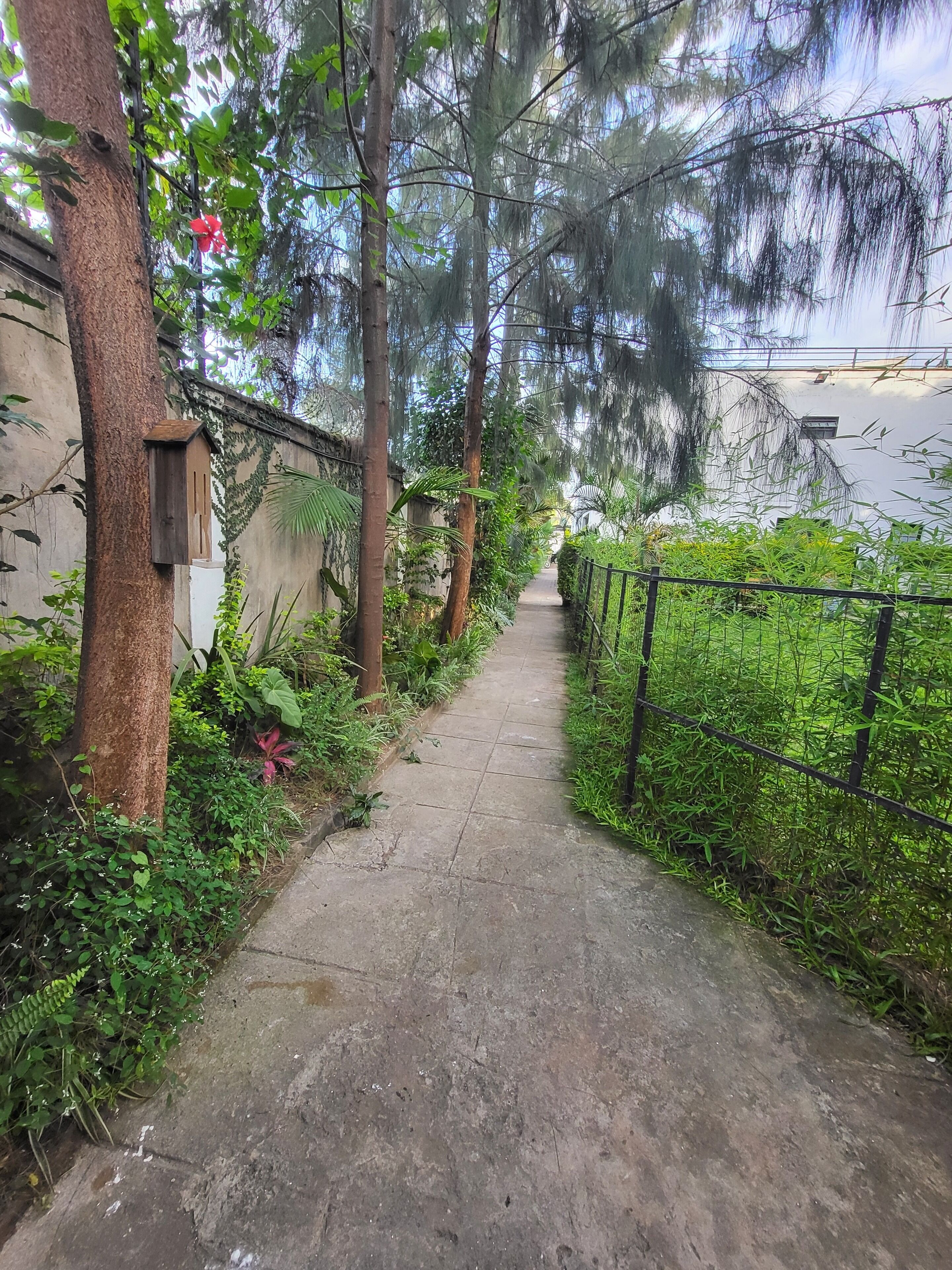 Property grounds