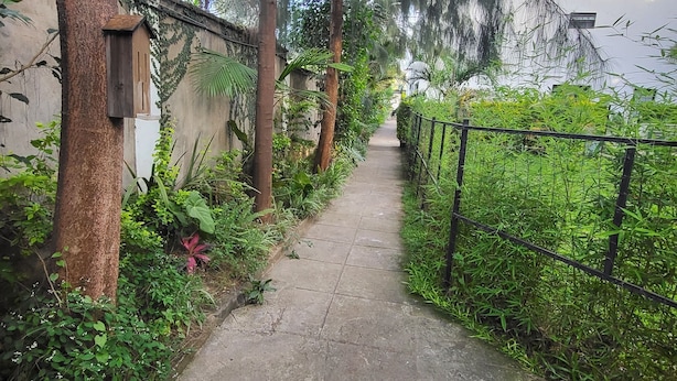 Property grounds - 2 bedroom akenza cottage (Nairobi)