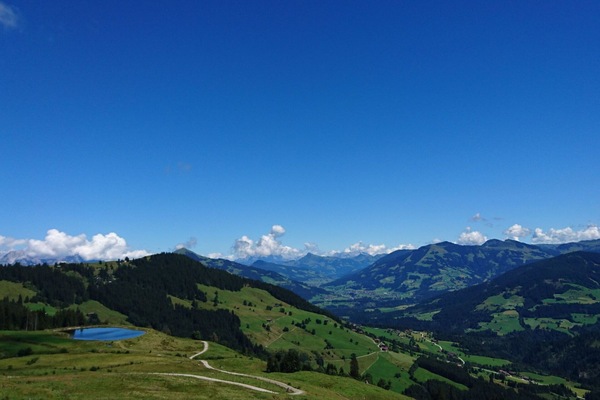 Schwimmbad, Resort, Eco Hotel, Freizeit, Holzbeize, Gartenmöbel, Hinterhof, Hartholz, Garten, Zimmerpflanze