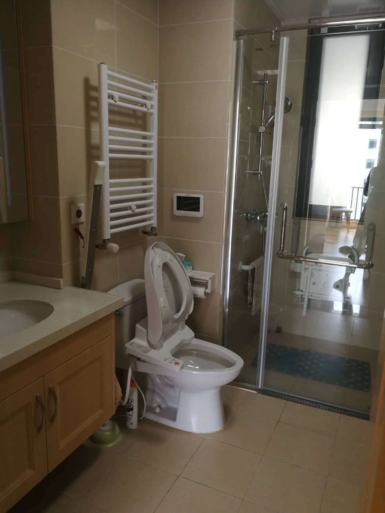Shower, hair dryer, bidet, towels