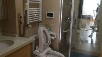 Shower, hair dryer, bidet, towels