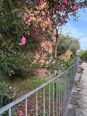 Villa - Casa Vacanze in Ottiolu (Budoni)