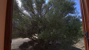 Unclassified image, 5 of 18, button - Fma-str01 in Maiorca (Budoni)
