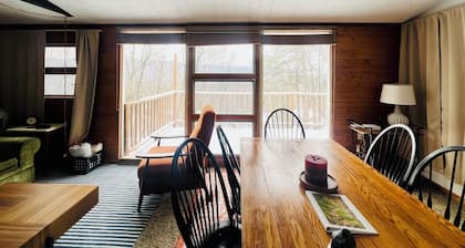 Charming Mid-Century Cabin - Warm, Cozy & Scenic